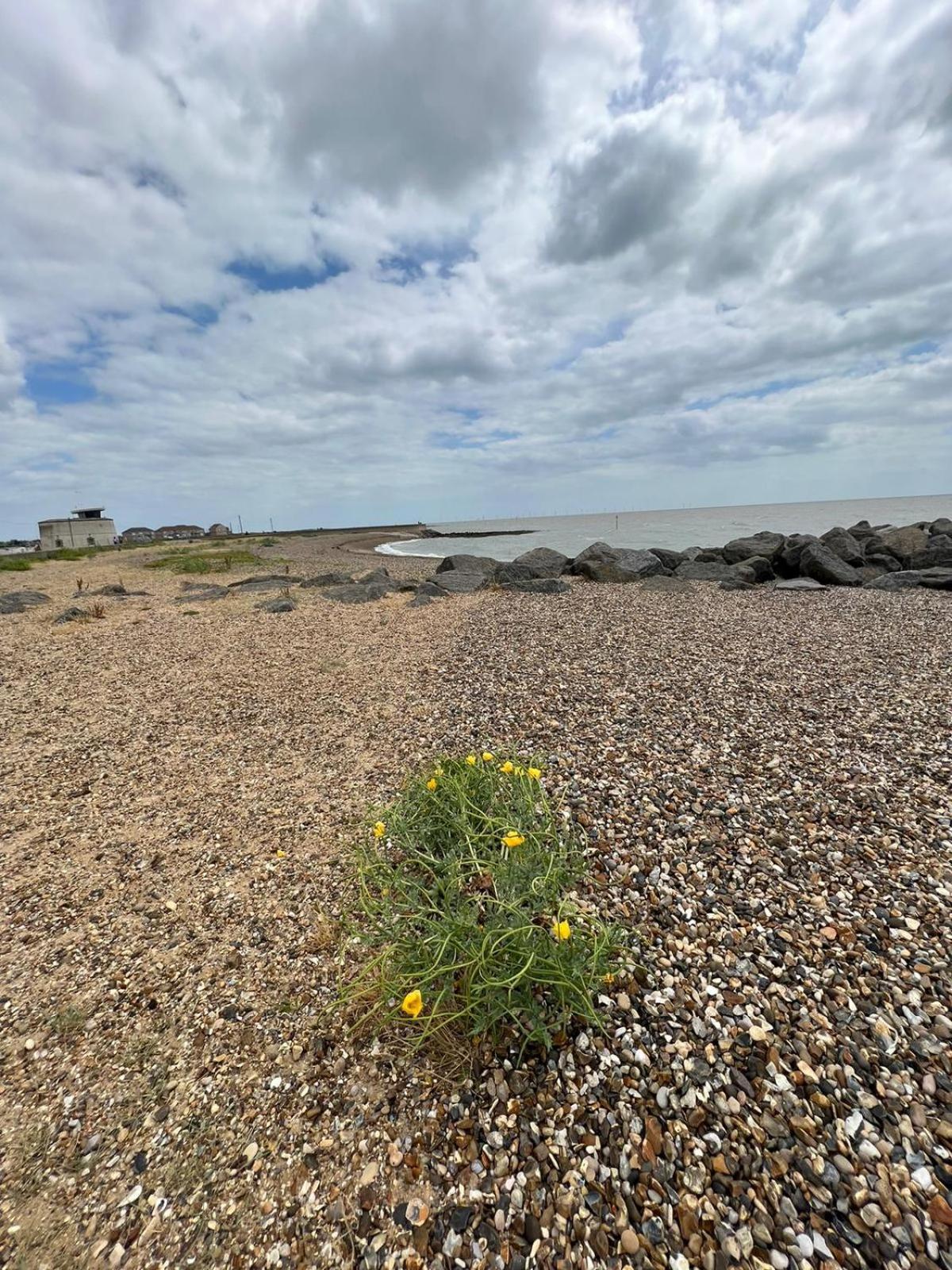 Luxurious Three Bedroom Caravan Jaywick Sands Luaran gambar